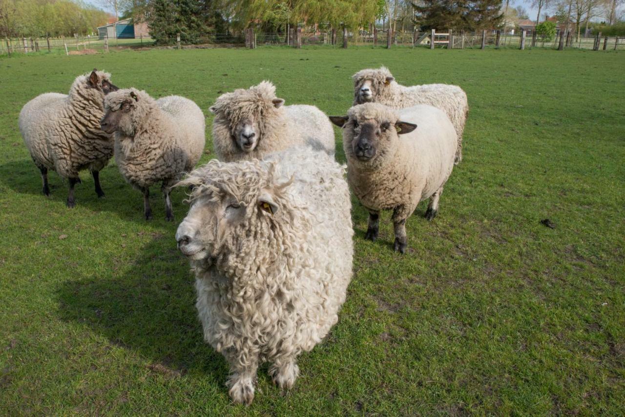 فيلا Boeren Biezen Bed Landelijk المظهر الخارجي الصورة