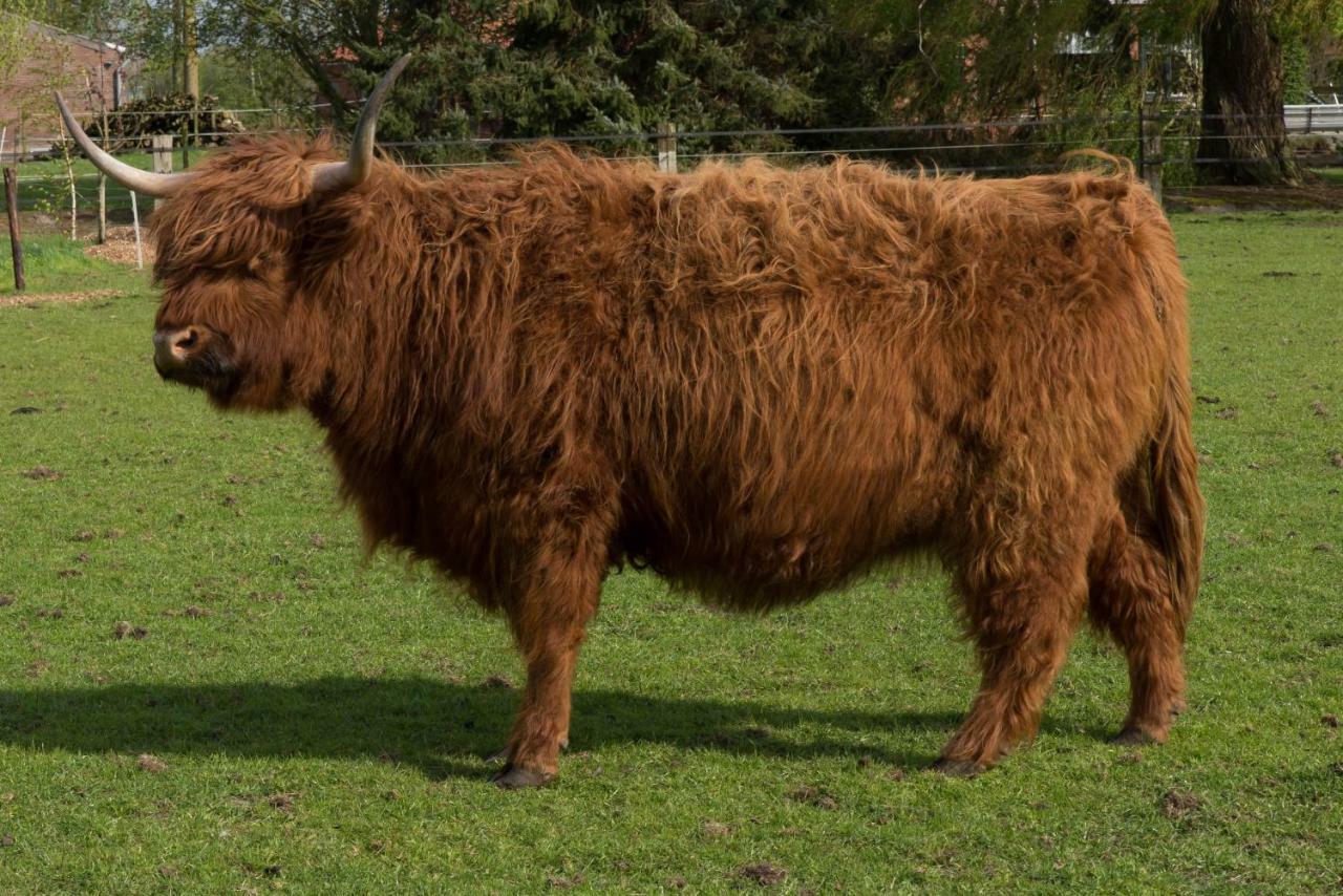 فيلا Boeren Biezen Bed Landelijk المظهر الخارجي الصورة