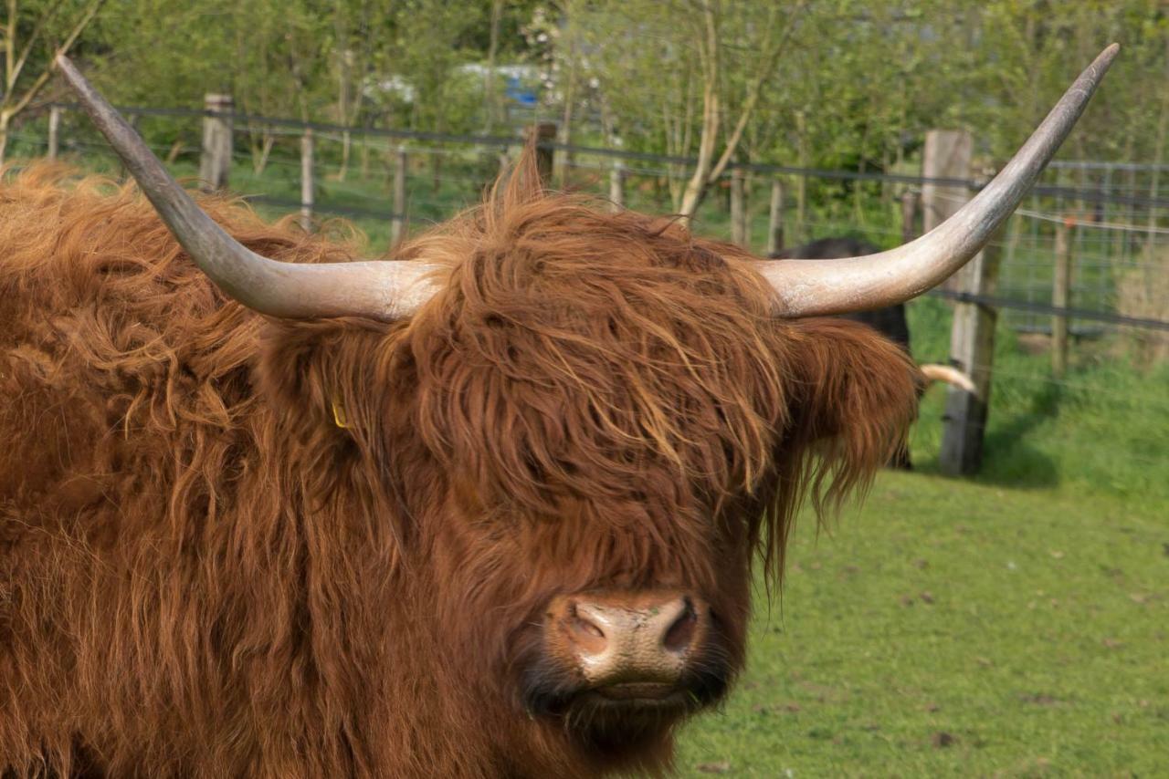 فيلا Boeren Biezen Bed Landelijk المظهر الخارجي الصورة