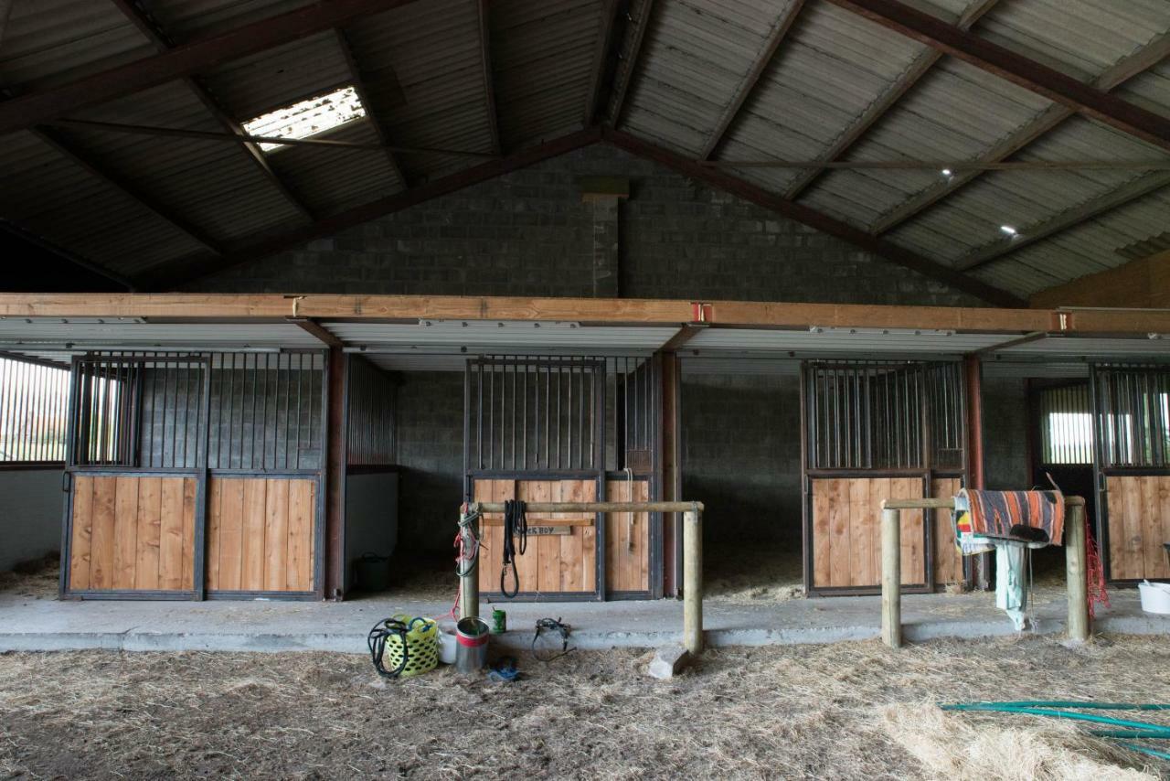 فيلا Boeren Biezen Bed Landelijk المظهر الخارجي الصورة