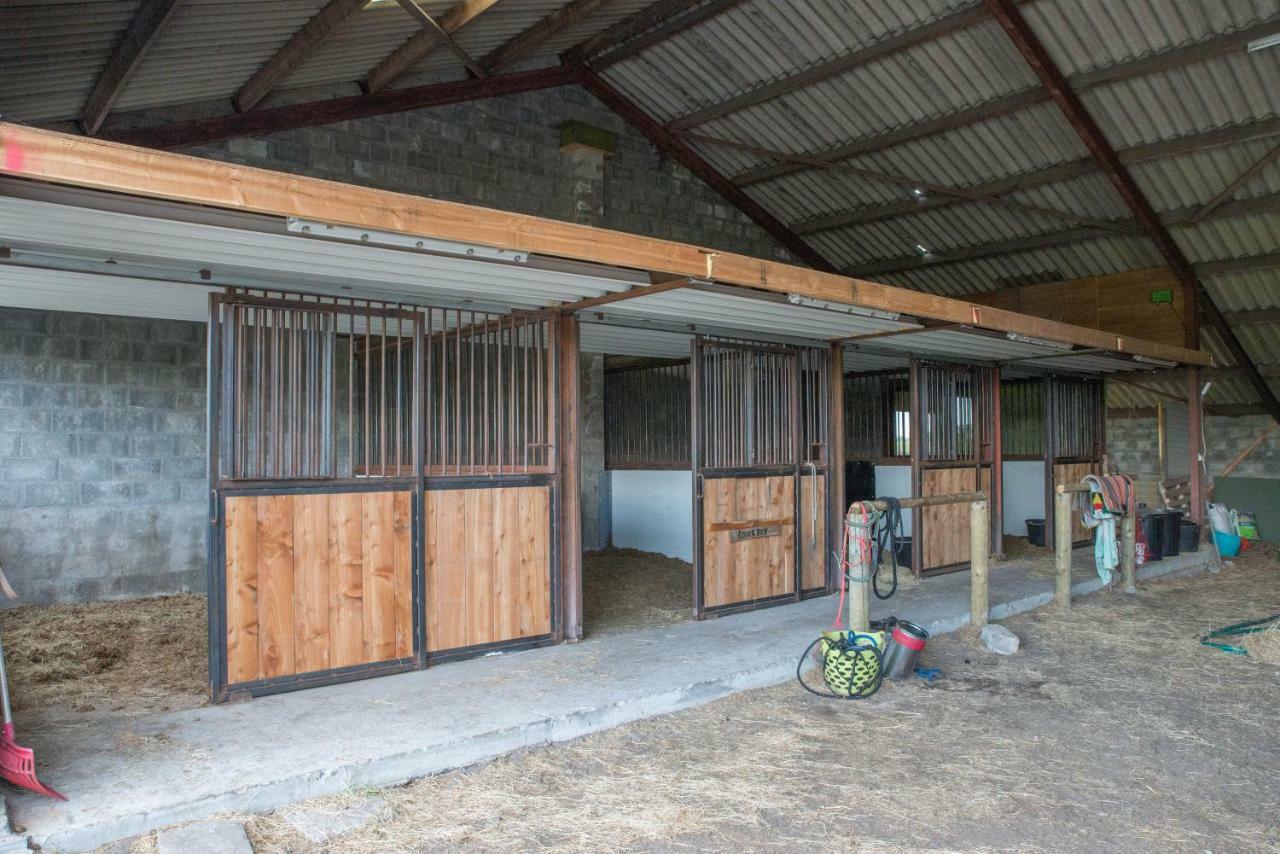 فيلا Boeren Biezen Bed Landelijk المظهر الخارجي الصورة