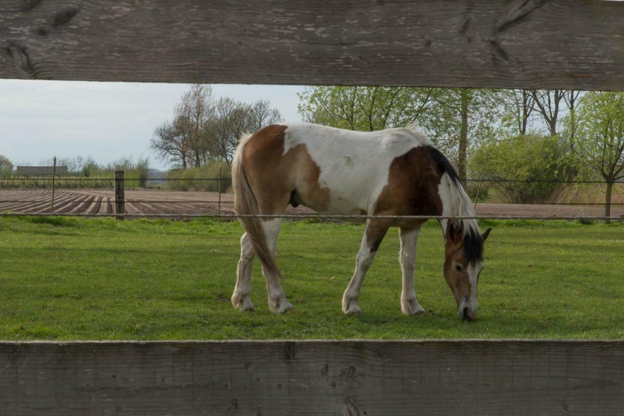 فيلا Boeren Biezen Bed Landelijk المظهر الخارجي الصورة