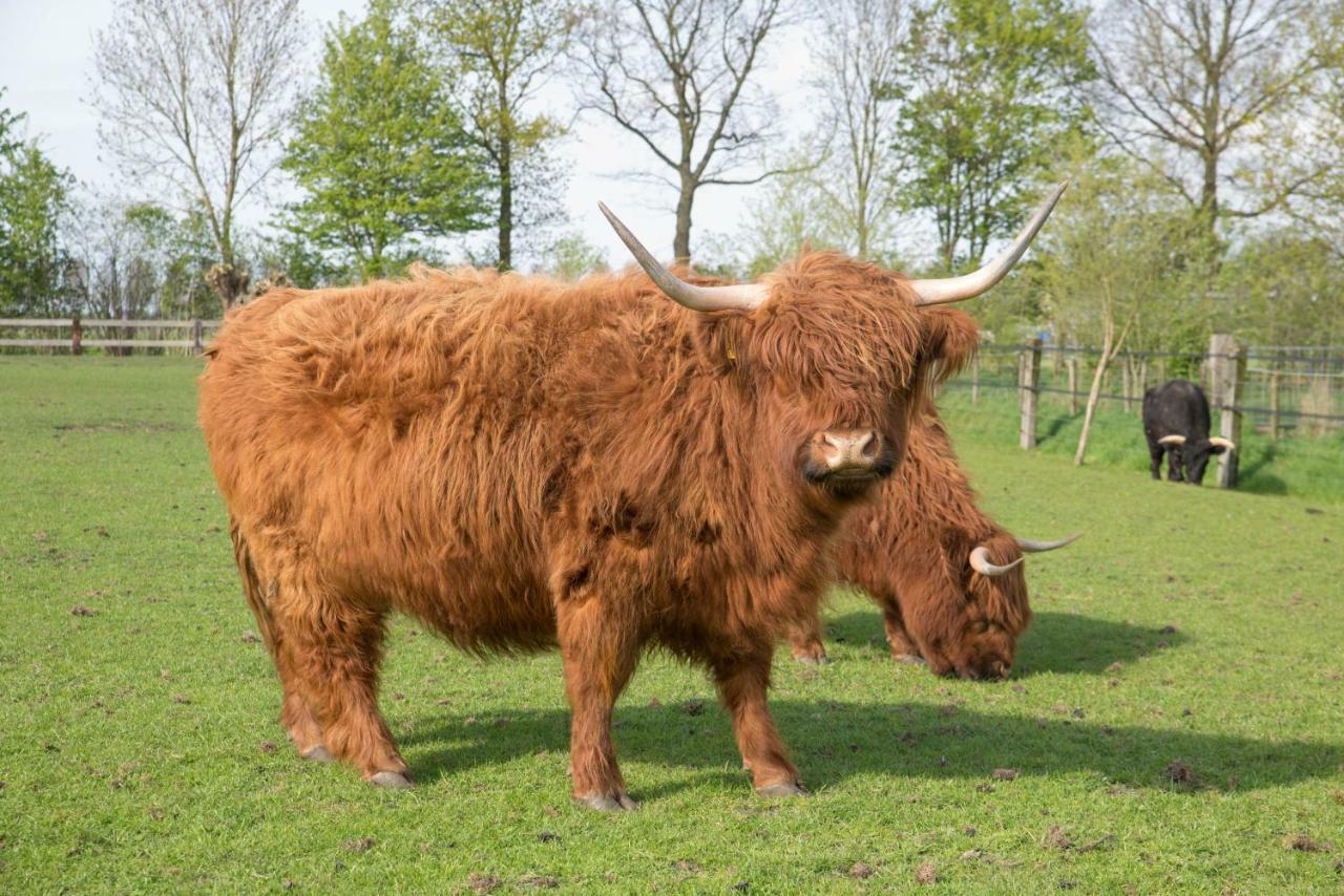 فيلا Boeren Biezen Bed Landelijk المظهر الخارجي الصورة
