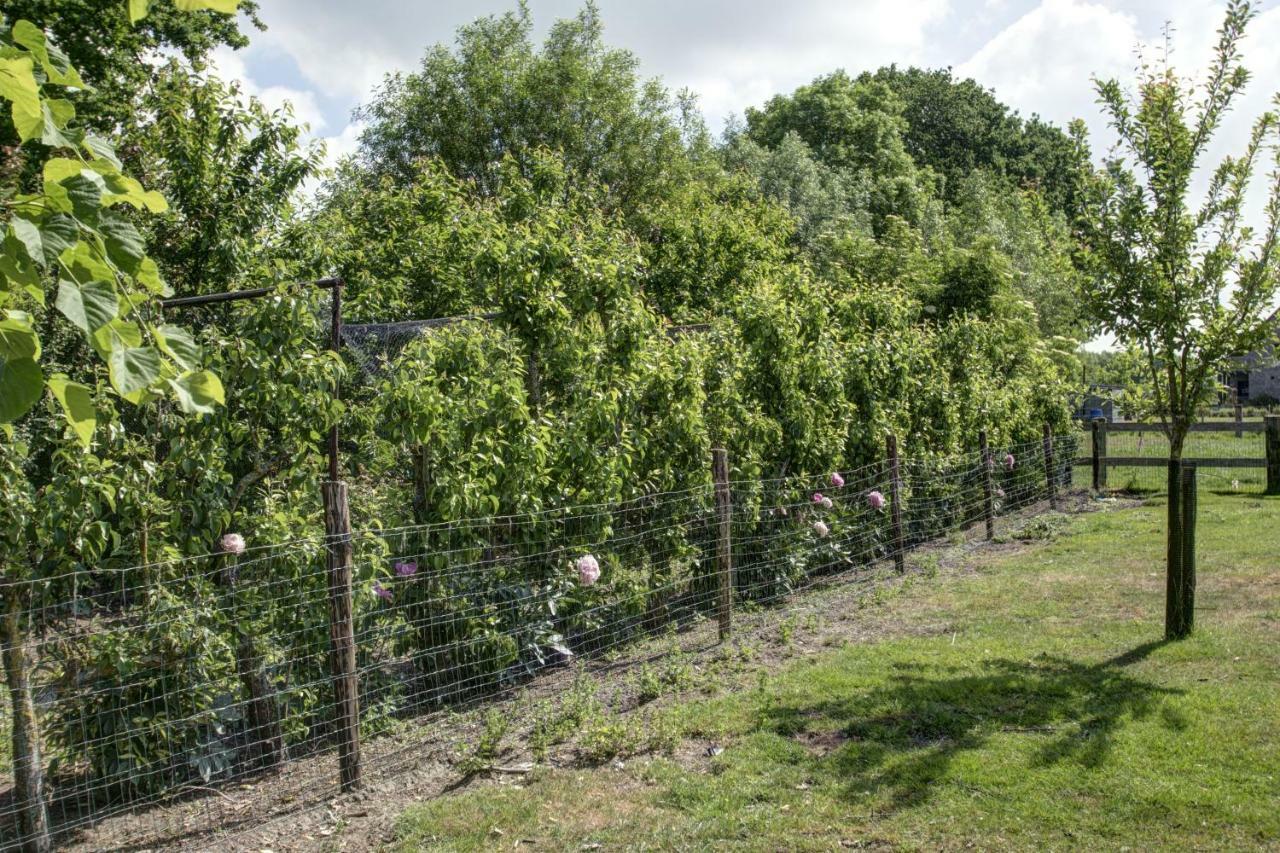 فيلا Boeren Biezen Bed Landelijk المظهر الخارجي الصورة